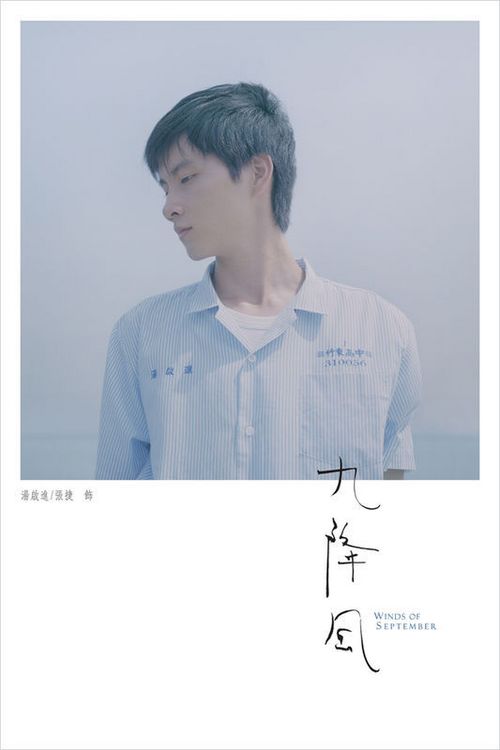 白金汉大学商科文凭证书